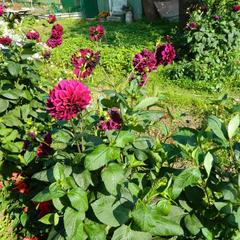 Гостевой дом Хуторок, Суздаль, Владимирская область