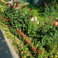 Гостевой дом Хуторок, Суздаль, Владимирская область