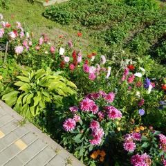 Гостевой дом Хуторок, Суздаль, Владимирская область