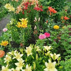 Гостевой дом Хуторок, Суздаль, Владимирская область