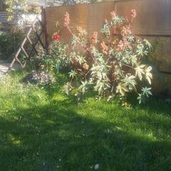 Дом отдыха Свой дом, Суздаль, Владимирская область