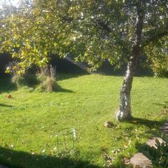 Дом отдыха Свой дом, Суздаль, Владимирская область