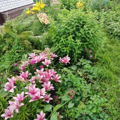 Гостевой дом Хуторок, Суздаль, Владимирская область