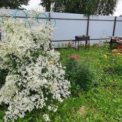 Гостевой дом Хуторок, Суздаль, Владимирская область