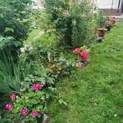 Гостевой дом Хуторок, Суздаль, Владимирская область