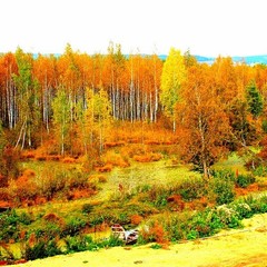 База отдыха Relax Island, Суксун, Пермский край