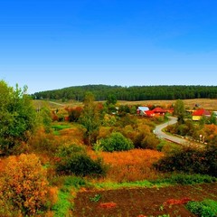 База отдыха Relax Island, Суксун, Пермский край
