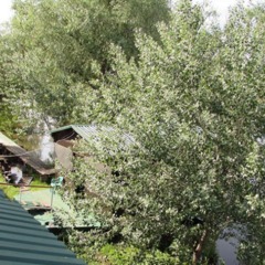 Рыболовная база Карай, Сухоненок, Астраханская область