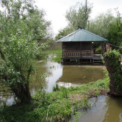 Рыболовная база Карай, Сухоненок, Астраханская область