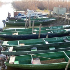 Рыболовная база Карай, Сухоненок, Астраханская область