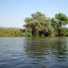 Рыболовная база Карай, Сухоненок, Астраханская область