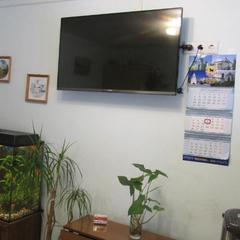 Мини-гостиница Золотая Рыбка, Сызрань, Самарская область