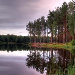 Гостиница Кузьмолово, Сярьги, Ленинградская область