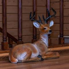 Дом Solar House, Сярьги, Ленинградская область