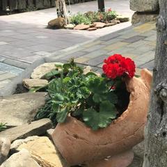 Гостиничный комплекс Старый город, Тамань, Краснодарский край