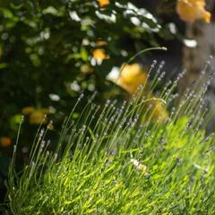 Гостиничный комплекс Старый город, Тамань, Краснодарский край