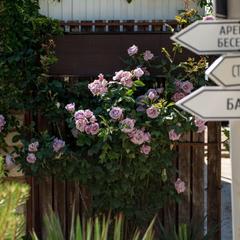 Гостиничный комплекс Старый город, Тамань, Краснодарский край