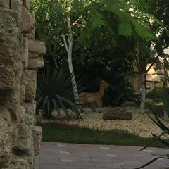 Гостиничный комплекс Старый город, Тамань, Краснодарский край