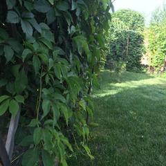 Гостиничный комплекс Старый город, Тамань, Краснодарский край