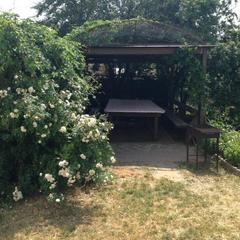 Гостевой дом Виноградная лоза, Приморский, Краснодарский край