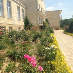 Гостевой дом Виноградная лоза, Приморский, Краснодарский край