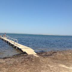Гостевой дом Виноградная лоза, Приморский, Краснодарский край