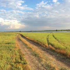 Рыболовная база Рыболовная база Емеля Фиш, Тамбовка, Астраханская область