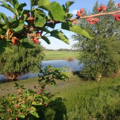 Рыболовная база Рыболовная база Емеля Фиш, Тамбовка, Астраханская область