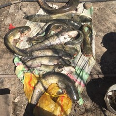 Охотничье-рыболовная база Восход, Тамбовка, Астраханская область