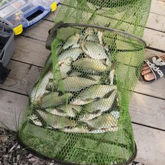 Охотничье-рыболовная база Восход, Тамбовка, Астраханская область