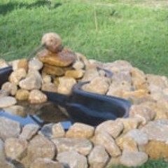 Эко-парк Бобровый мыс, Таруса, Калужская область