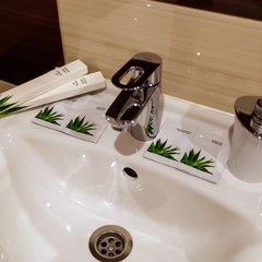 Отель Чехов, Тверь, Тверская область