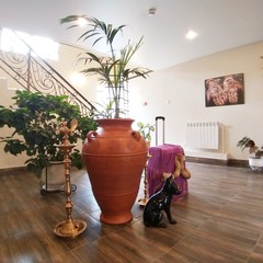 Отель Ситара, Тверь, Тверская область