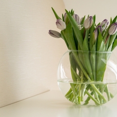 Отель Гранд Отель Звезда, Тверь, Тверская область