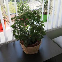 Хостел СВ, Тверь, Тверская область