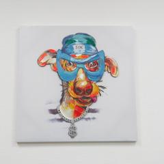 Хостел СВ, Тверь, Тверская область