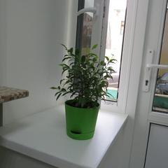 Хостел СВ, Тверь, Тверская область