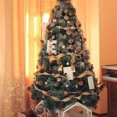 Гостиница Йети хаус, Теберда, Республика Карачаево-Черкесия 