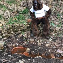 Гостиница Йети хаус, Теберда, Республика Карачаево-Черкесия 