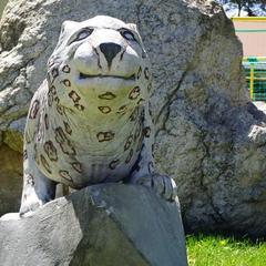 База отдыха Ольховая, Теберда, Республика Карачаево-Черкесия 