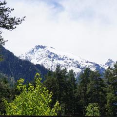 База отдыха Ольховая, Теберда, Республика Карачаево-Черкесия 