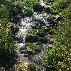 Гостевой дом У Горной реки, Теберда, Республика Карачаево-Черкесия 