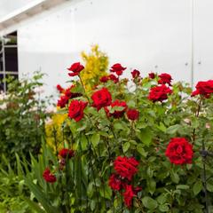 Отель Тизори, Тимашевск, Краснодарский край