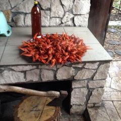 Отель Патио, Тольятти, Самарская область