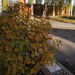 Отель Патио, Тольятти, Самарская область