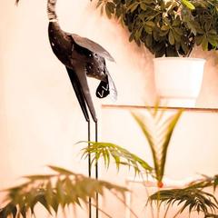 Мини-отель Эмона, Тольятти, Самарская область