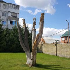 Отель На Суворова 41, Тольятти, Самарская область