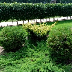 Гостиница Союз, Тольятти, Самарская область