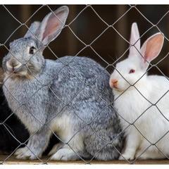 Мотель Мотель Восьмая Миля, Тольятти, Самарская область