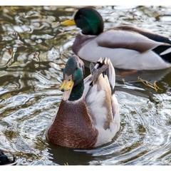 Мотель Мотель Восьмая Миля, Тольятти, Самарская область